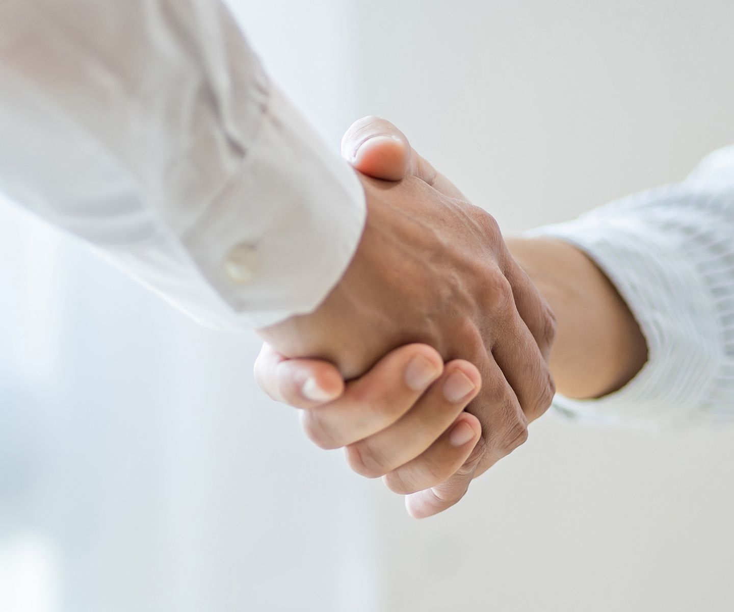 Two business people shaking hands