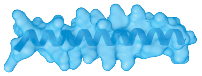 Peptide